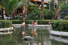 Grand Palladium Bavaro Resort  & Spa 