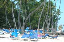Barcelo Dominican Beach Resort 