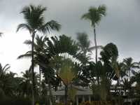 Melia Caribe Tropical 