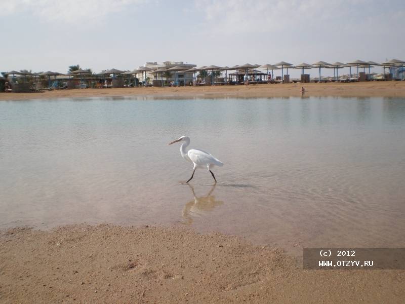 Long Beach Resort Hurghada