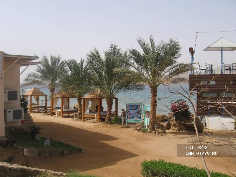 Albatros Sharm Resort Albatros Sharm Resort