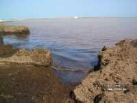 Vincci Al Kantara Thalassa Vincci Al Kantara Thalassa фото