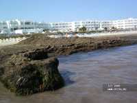 Vincci Al Kantara Thalassa Vincci Al Kantara Thalassa фото