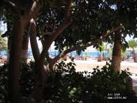 Al Mashrabiya Beach Resort 