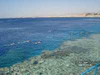 Sharm Resort 