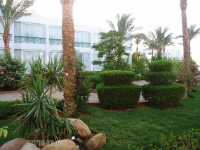 Amarante Garden Palms 