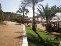 Albatros Sharm Resort ����
