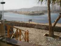 Albatros Sharm Resort ����