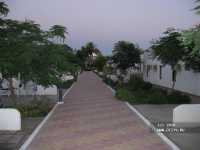 Albatros Sharm Resort ����