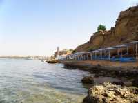 Albatros Sharm Resort ����