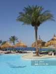Albatros Sharm Resort ����