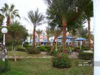 Albatros Sharm Resort ����