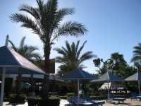 Albatros Sharm Resort ����