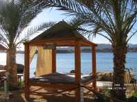 Albatros Sharm Resort ����