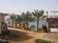 Albatros Sharm Resort ����