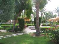 Albatros Sharm Resort ����