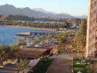 Albatros Sharm Resort ����