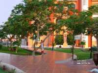 Albatros Garden Resort ����