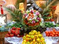 Albatros Garden Resort ����