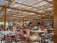 Albatros Garden Resort ����
