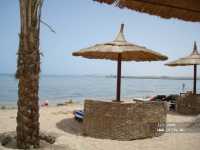 Albatros Garden Resort ����