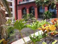 Gran Tacande ����