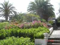 Dessole Malia Beach ����