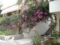 Dessole Malia Beach ����