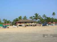 Silver Sands Beach Resort 