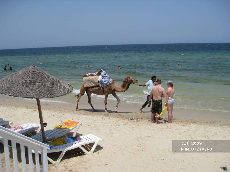 Caribbean World Monastir