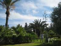 Tour Khalef ����