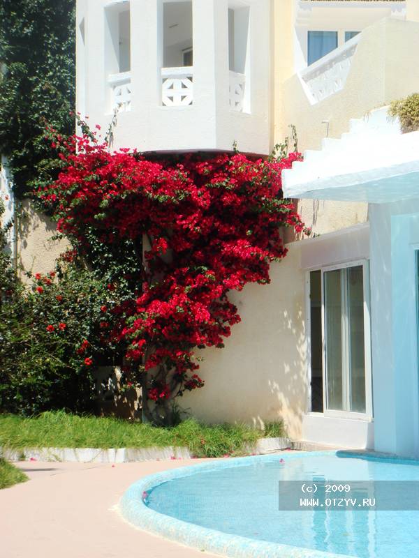 LTI-Mahdia Beach
