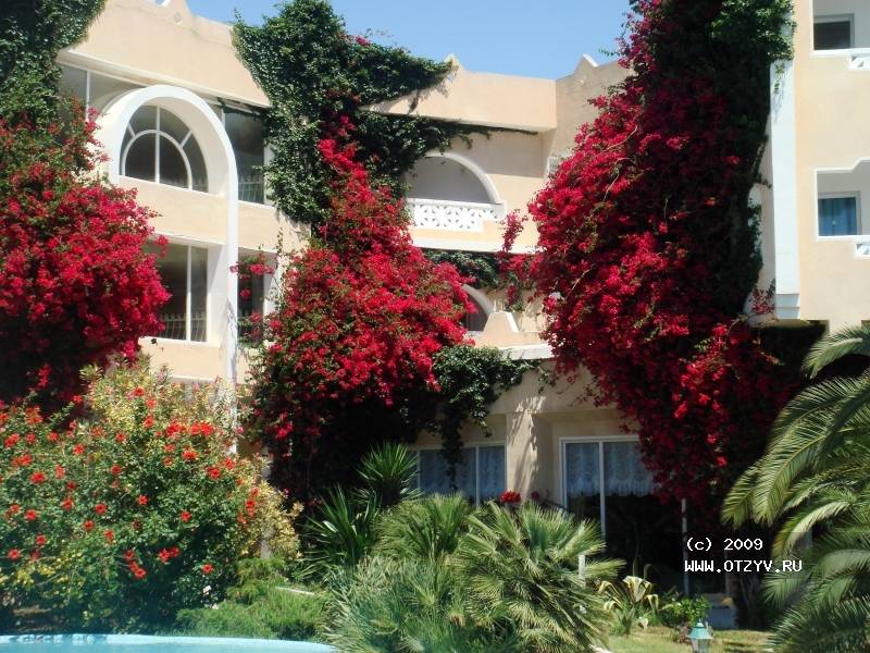 LTI-Mahdia Beach