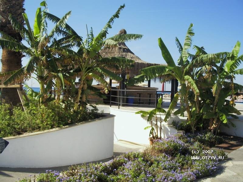 Sunrise Park Resort & Spa