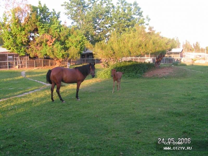Sunrise Park Resort & Spa