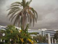 Sunrise Park Resort & Spa 