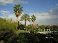 Sunrise Park Resort & Spa 