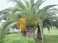 Sunrise Park Resort & Spa 