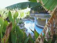 Sunrise Park Resort & Spa 