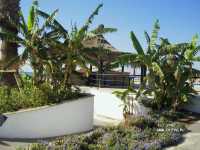 Sunrise Park Resort & Spa 