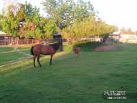 Sunrise Park Resort & Spa 