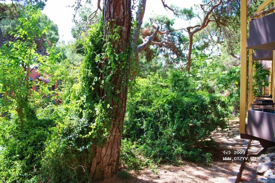 Blue Waters Club & Resort