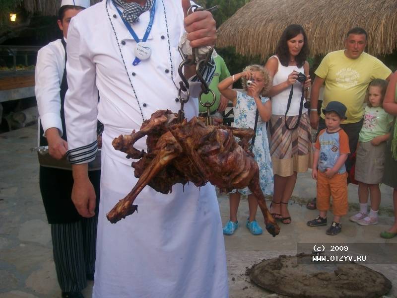 Blue Waters Club & Resort