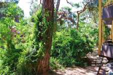 Blue Waters Club & Resort ����