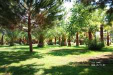 Blue Waters Club & Resort ����