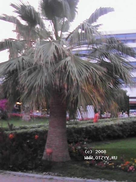 Sunrise Park Resort & Spa
