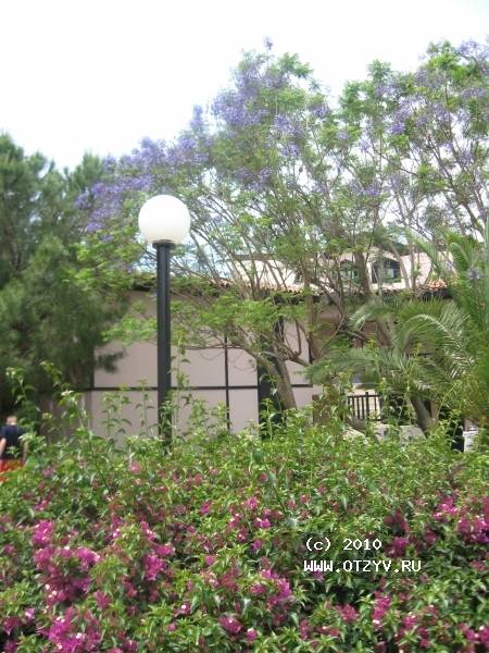 Sunrise Park Resort & Spa