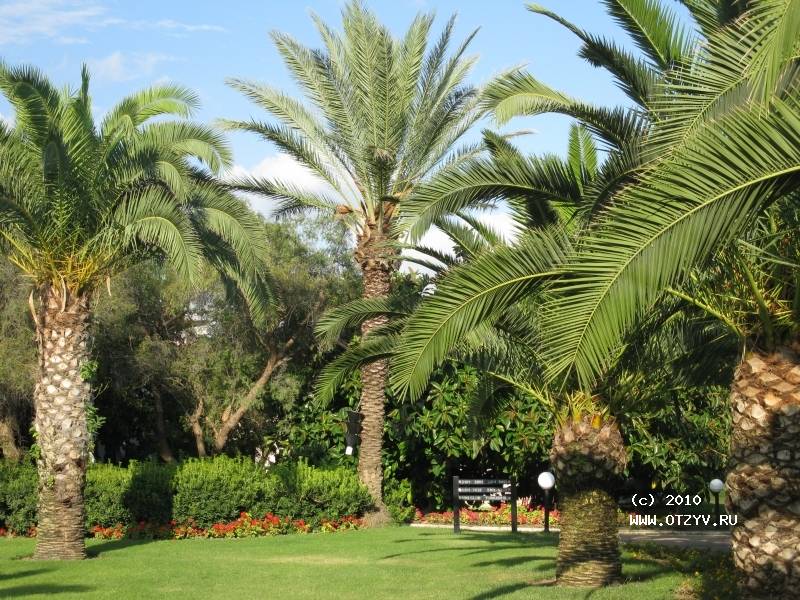 Sunrise Park Resort & Spa