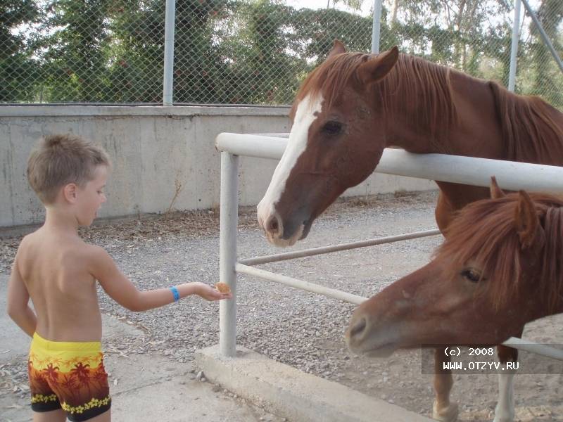 Sunrise Park Resort & Spa