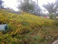 Sunrise Park Resort & Spa 